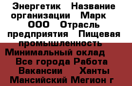 Энергетик › Название организации ­ Марк 4, ООО › Отрасль предприятия ­ Пищевая промышленность › Минимальный оклад ­ 1 - Все города Работа » Вакансии   . Ханты-Мансийский,Мегион г.